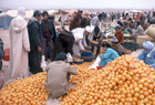 Morocco 101273.jpg
